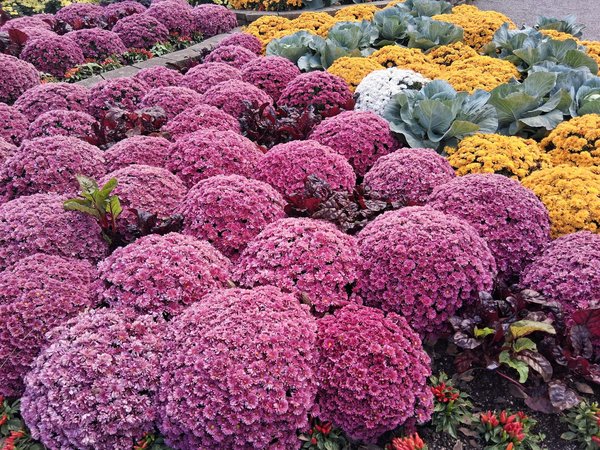 Initier les enfants au jardinage : activités et idées ludiques